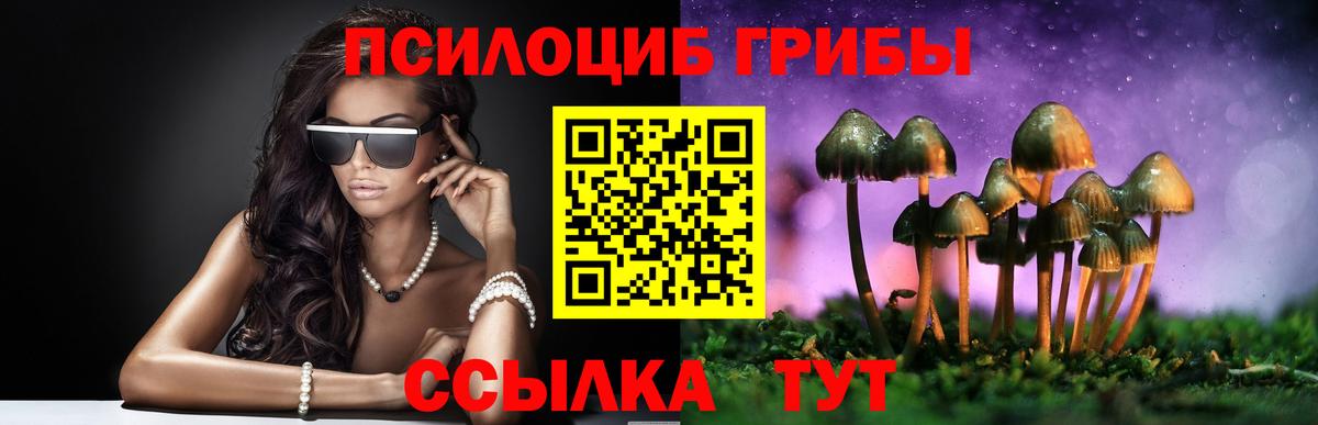 Галлюциногенные грибы мухоморы  Вход с VPN  Кандалакша 